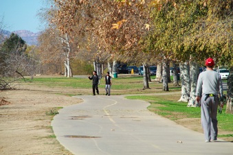 Enlarge photo 31