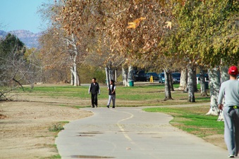 Enlarge photo 29