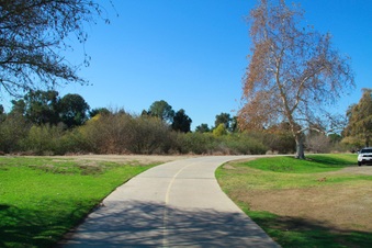 Enlarge photo 28