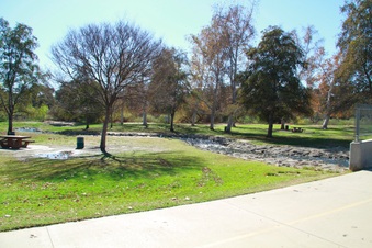 Enlarge photo 25