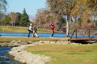 Enlarge photo 21