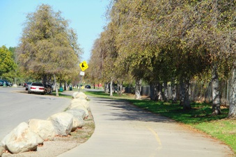 Enlarge photo 19