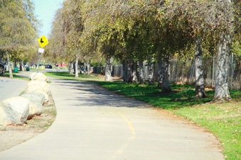Enlarge photo 17