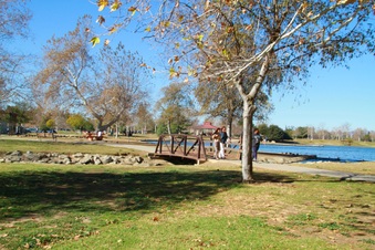 Enlarge photo 11