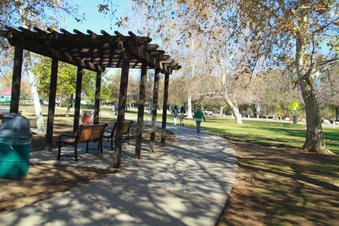 Enlarge photo 5