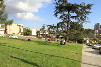 Enlarge photo 10