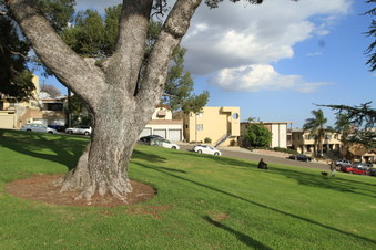 Enlarge photo 11