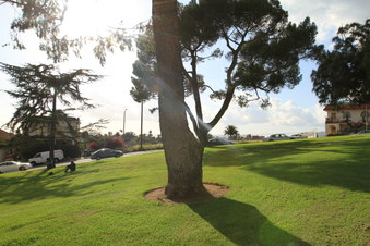 Enlarge photo 19