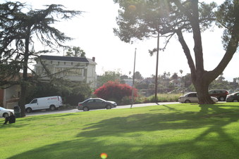 Enlarge photo 30