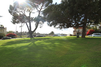 Enlarge photo 35