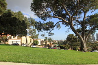 Enlarge photo 40