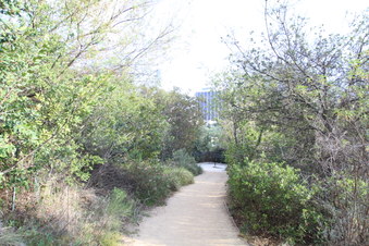 Enlarge photo 8