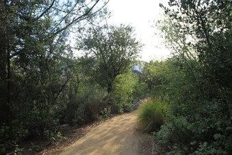 Enlarge photo 12