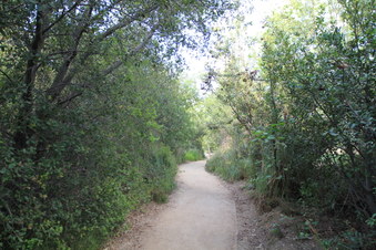 Enlarge photo 14