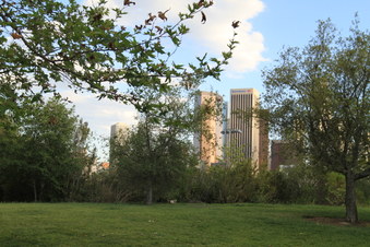 Enlarge photo 17