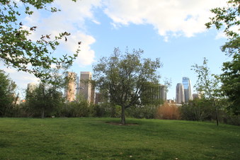 Enlarge photo 18