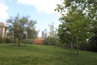Enlarge photo 19