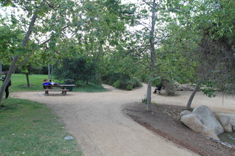 Enlarge photo 24