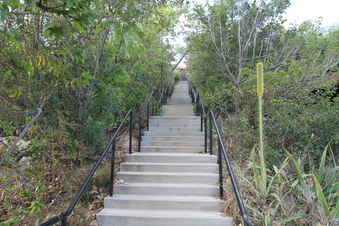 Enlarge photo 25