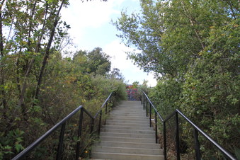 Enlarge photo 27