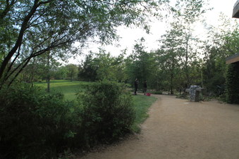 Enlarge photo 33