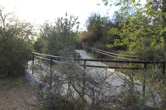Enlarge photo 34