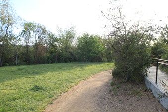 Enlarge photo 35