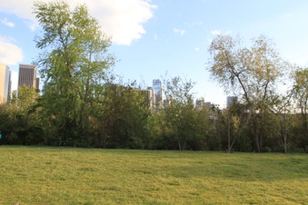 Enlarge photo 36