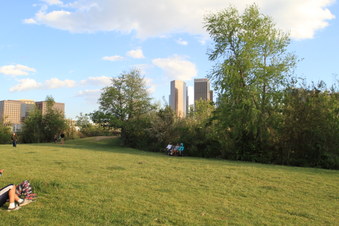 Enlarge photo 37