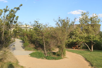 Enlarge photo 39