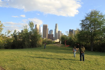 Enlarge photo 40