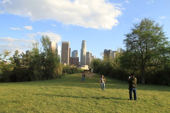 Enlarge photo 43