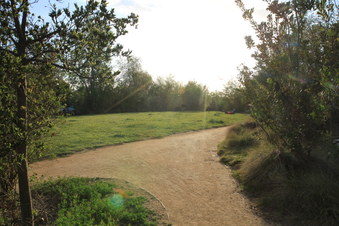 Enlarge photo 45