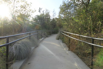 Enlarge photo 46