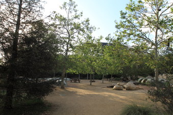 Enlarge photo 47
