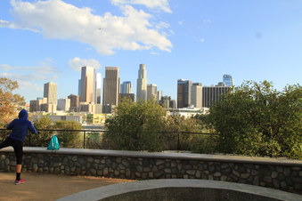 Enlarge photo 51