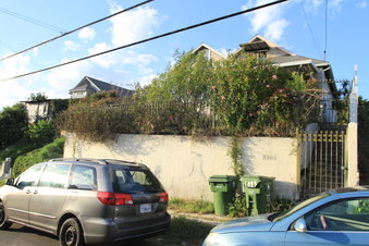 Enlarge photo 66