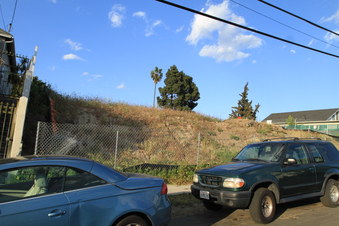 Enlarge photo 67