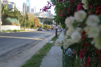 Enlarge photo 84