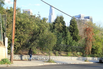 Enlarge photo 87