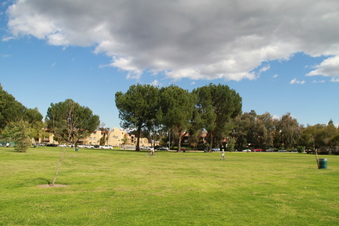 Enlarge photo 9