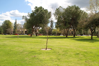 Enlarge photo 8