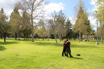 Enlarge photo 7