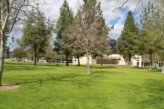 Enlarge photo 17