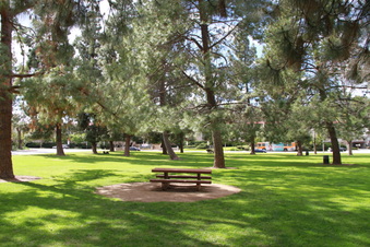 Enlarge photo 16