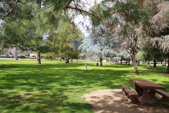 Enlarge photo 22