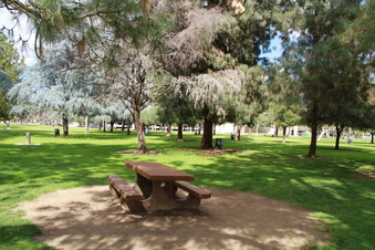 Enlarge photo 21