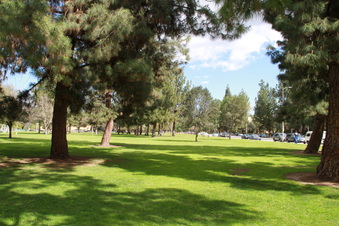 Enlarge photo 20