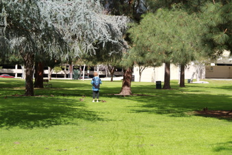 Enlarge photo 26