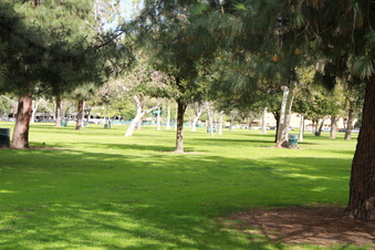 Enlarge photo 25
